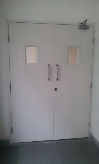 Fire Door with Wire Glass